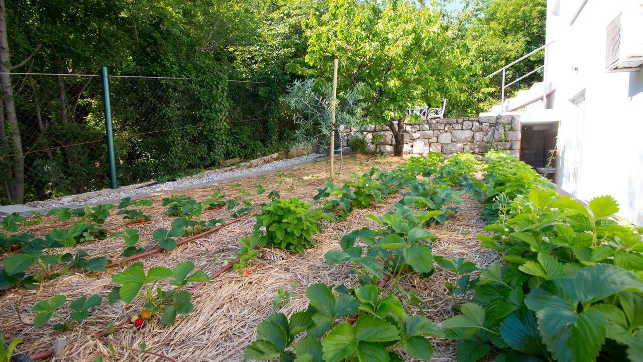 Organic Gardens Villa ซริกเวนิซา ภายนอก รูปภาพ